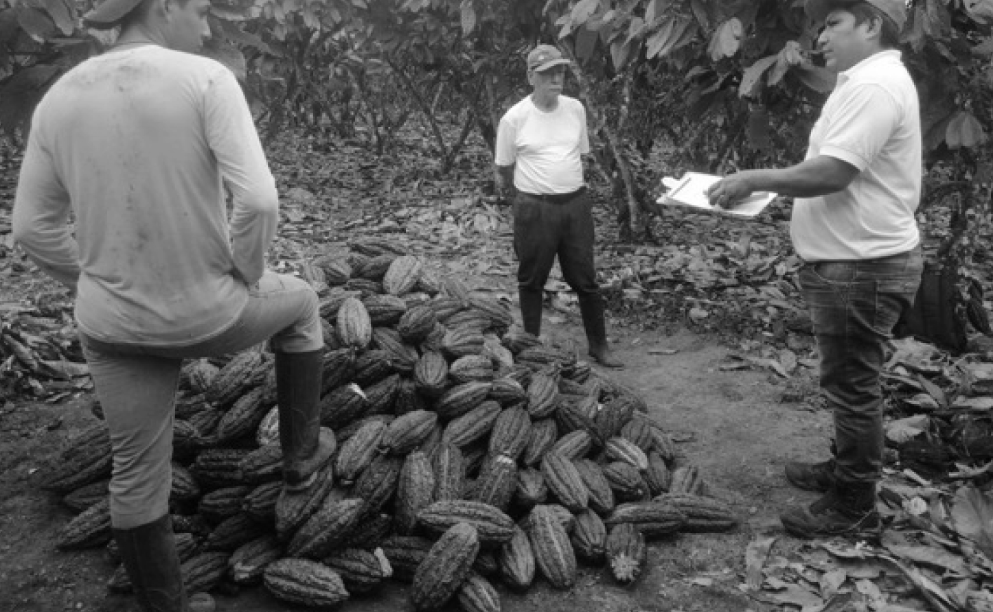 Traceability